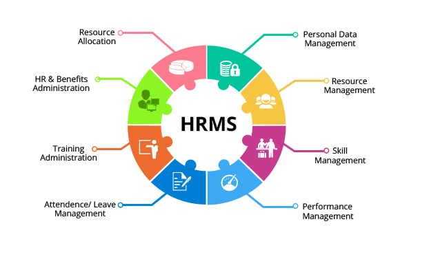 What Is HRMS Software And How To Use It 